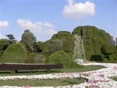 Topiary Photos